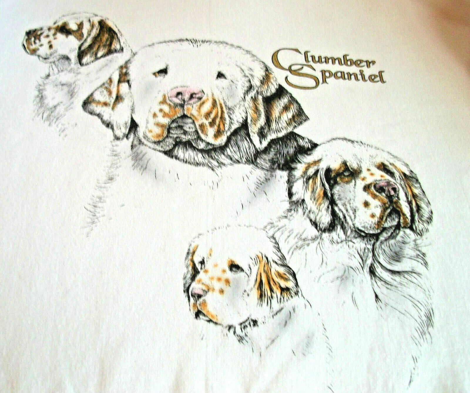 Clumber Spaniel T-shirt ~ Natural ~ Size 3xl ( 54 ~ 56 )